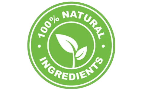 MemoryFuel  100 Percent Natural Blood Sugar Support Formula
